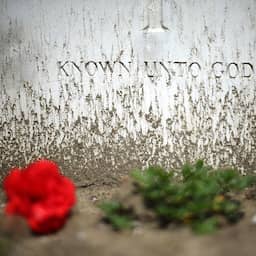 Brits eregraf in Den Haag blijkt bezet te zijn door Duitse matroos uit WOII